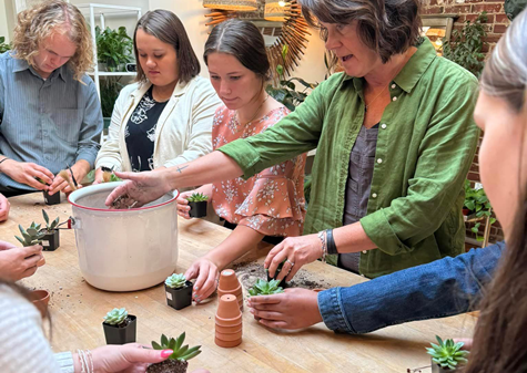 Cottonwood Jackson CEO